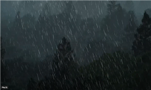 1 Minute Rain Sounds for Calm